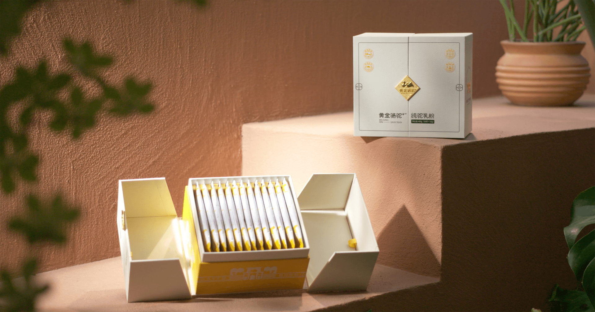 定位小众高端乳粉，jinnianhui今年会推出驼奶品牌“黄金骆驼+”，角逐乳品新市场！